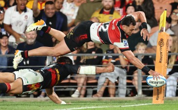 7c910de5861e399f1115d2a413d299d8 nzrbIPZDZdsn