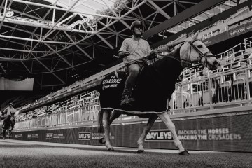 Horse Test Photo 4